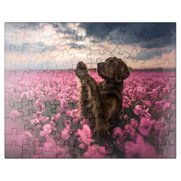 puzzleplate Chocolate Labrador in Blooming Pink Field 100 Jigsaw Puzzle