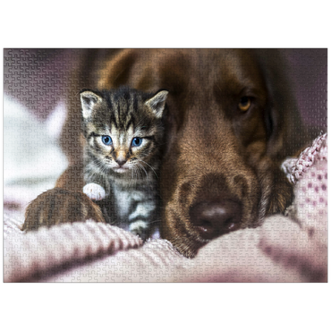 puzzleplate Kitten and Dog Resting Together 1000 Jigsaw Puzzle
