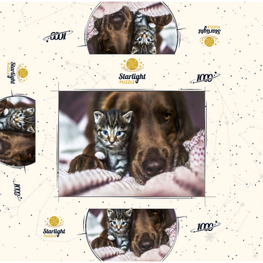Kitten and Dog Resting Together 1000 Jigsaw Puzzle box 3D Modell