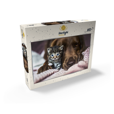 Kitten and Dog Resting Together 100 Jigsaw Puzzle box view2