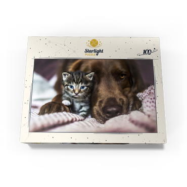 Kitten and Dog Resting Together 100 Jigsaw Puzzle box view3