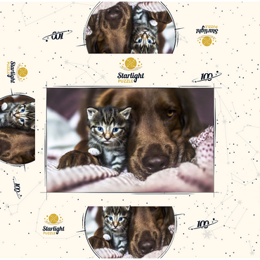 Kitten and Dog Resting Together 100 Jigsaw Puzzle box 3D Modell