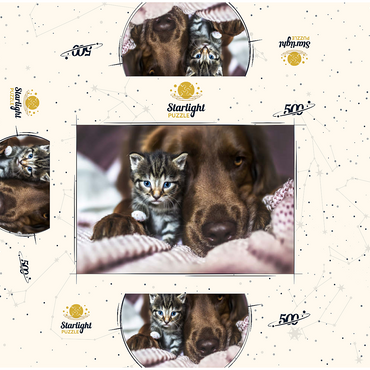 Kitten and Dog Resting Together 500 Jigsaw Puzzle box 3D Modell