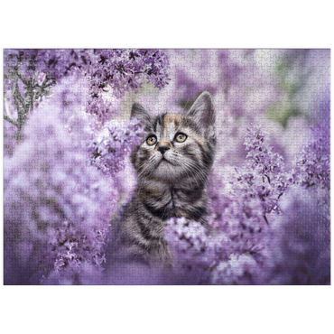 puzzleplate Kitten Among Blooming Lilac Flowers 1000 Jigsaw Puzzle