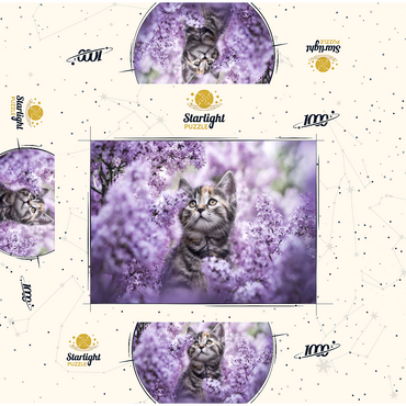 Kitten Among Blooming Lilac Flowers 1000 Jigsaw Puzzle box 3D Modell