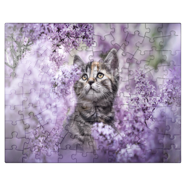 puzzleplate Kitten Among Blooming Lilac Flowers 100 Jigsaw Puzzle