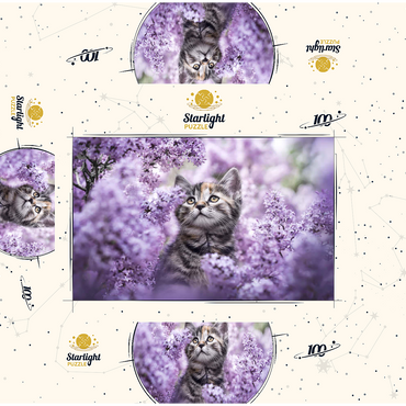 Kitten Among Blooming Lilac Flowers 100 Jigsaw Puzzle box 3D Modell