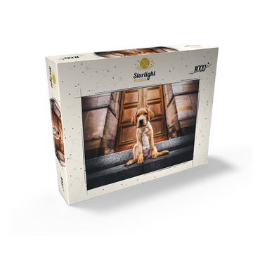 Golden Labrador Puppy on Stone Steps 1000 Jigsaw Puzzle box view2