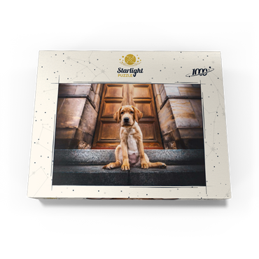 Golden Labrador Puppy on Stone Steps 1000 Jigsaw Puzzle box view3