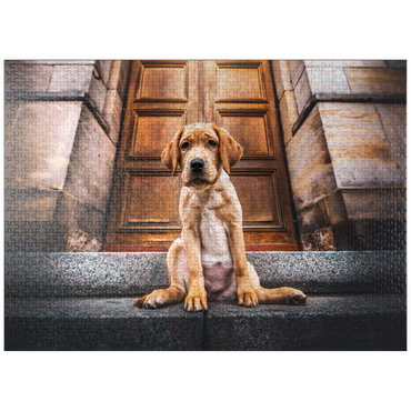 puzzleplate Golden Labrador Puppy on Stone Steps 1000 Jigsaw Puzzle