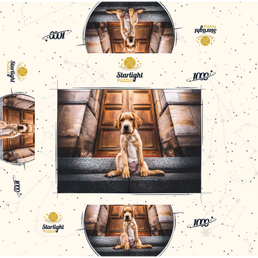 Golden Labrador Puppy on Stone Steps 1000 Jigsaw Puzzle box 3D Modell