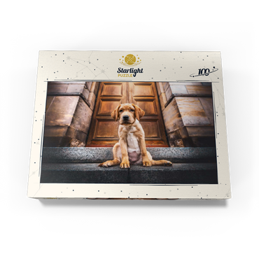 Golden Labrador Puppy on Stone Steps 100 Jigsaw Puzzle box view3