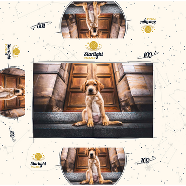 Golden Labrador Puppy on Stone Steps 100 Jigsaw Puzzle box 3D Modell