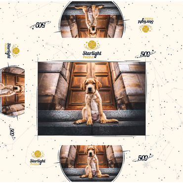 Golden Labrador Puppy on Stone Steps 500 Jigsaw Puzzle box 3D Modell