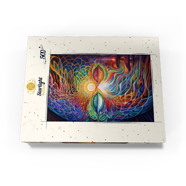 Psychedelic Visionary Face 500 Jigsaw Puzzle box view3