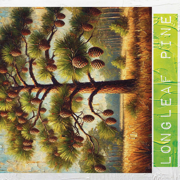 State Trees Series: Alabama, Longleaf Pine 1000 Jigsaw Puzzle 3D Modell