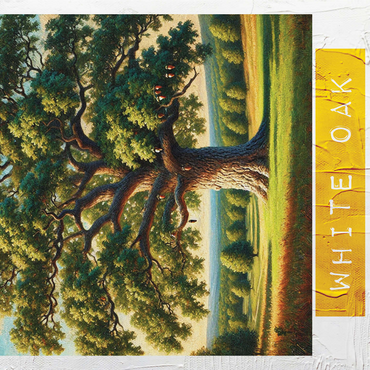 State Trees Series: Connecticut, White Oak 1000 Jigsaw Puzzle 3D Modell