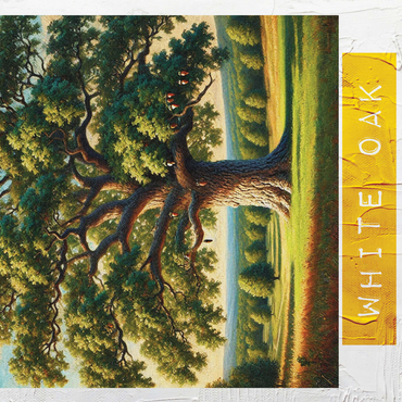 State Trees Series: Connecticut, White Oak 500 Jigsaw Puzzle 3D Modell