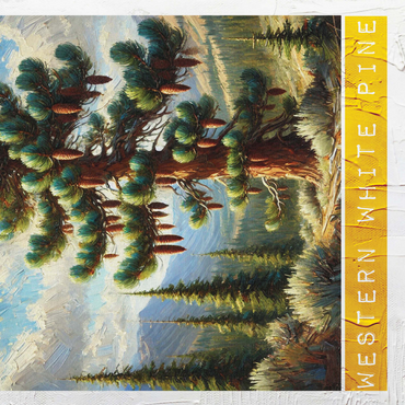 State Trees Series: Idaho, Western White Pine 500 Jigsaw Puzzle 3D Modell