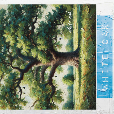 State Trees Series: Illinois, White Oak 1000 Jigsaw Puzzle 3D Modell