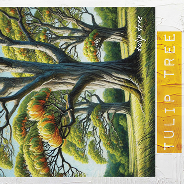 State Trees Series: Indiana, Tulip Tree 1000 Jigsaw Puzzle 3D Modell