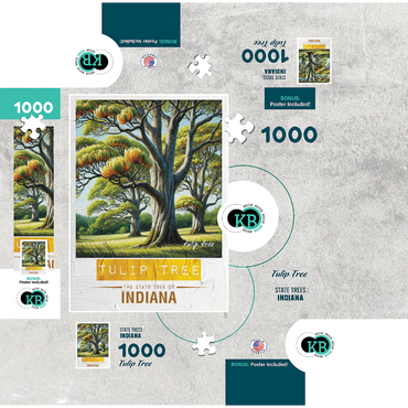 State Trees Series: Indiana, Tulip Tree 1000 Jigsaw Puzzle box 3D Modell