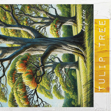 State Trees Series: Indiana, Tulip Tree 500 Jigsaw Puzzle 3D Modell
