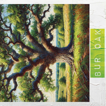 State Trees Series: Iowa, Bur Oak 1000 Jigsaw Puzzle 3D Modell