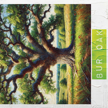 State Trees Series: Iowa, Bur Oak 500 Jigsaw Puzzle 3D Modell