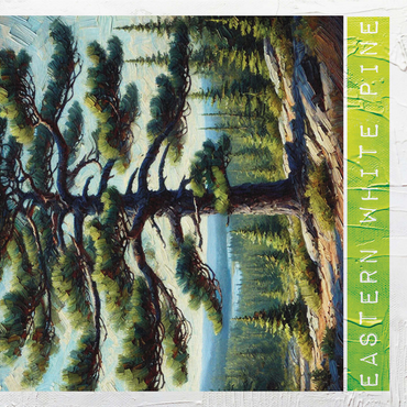 State Trees Series: Maine, Eastern White Pine 1000 Jigsaw Puzzle 3D Modell