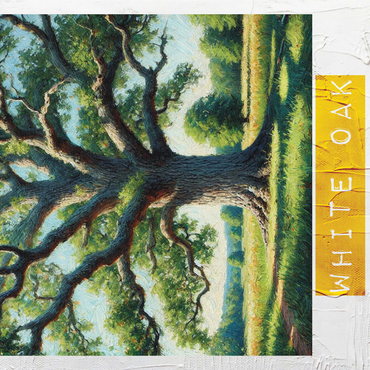 State Trees Series: Maryland, White Oak 1000 Jigsaw Puzzle 3D Modell
