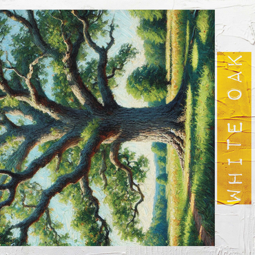 State Trees Series: Maryland, White Oak 500 Jigsaw Puzzle 3D Modell