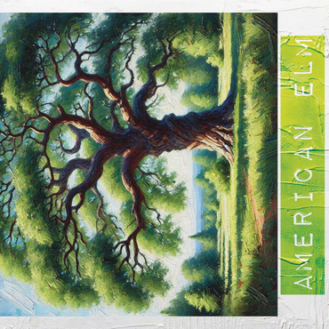 State Trees Series: Massachusetts, American Elm 1000 Jigsaw Puzzle 3D Modell