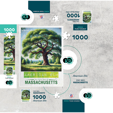 State Trees Series: Massachusetts, American Elm 1000 Jigsaw Puzzle box 3D Modell