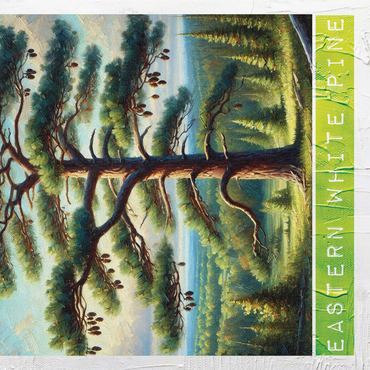 State Trees Series: Michigan, Eastern White Pine 1000 Jigsaw Puzzle 3D Modell