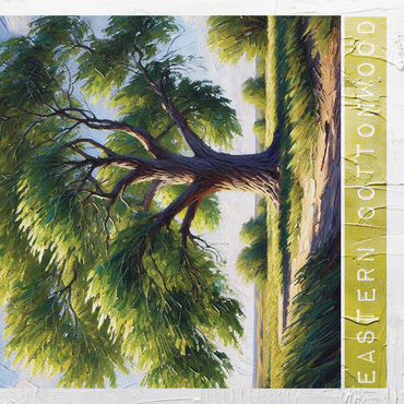 State Trees Series: Nebraska, Eastern Cottonwood 1000 Jigsaw Puzzle 3D Modell
