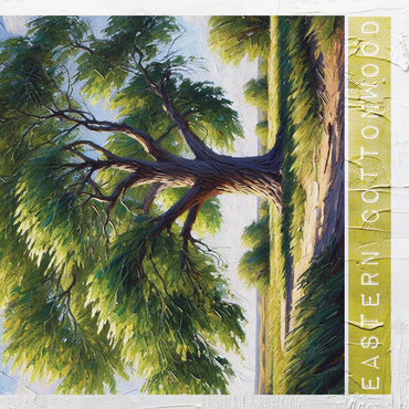 State Trees Series: Nebraska, Eastern Cottonwood 500 Jigsaw Puzzle 3D Modell