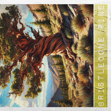 State Trees Series: Nevada, Bristlecone Pine 500 Jigsaw Puzzle 3D Modell