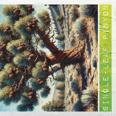 State Trees Series: Nevada, Single-Leaf Pinyon 1000 Jigsaw Puzzle 3D Modell