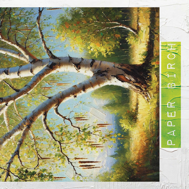 State Trees Series: New Hampshire, Paper Birch 1000 Jigsaw Puzzle 3D Modell
