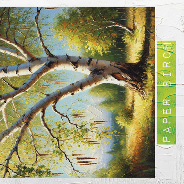 State Trees Series: New Hampshire, Paper Birch 500 Jigsaw Puzzle 3D Modell