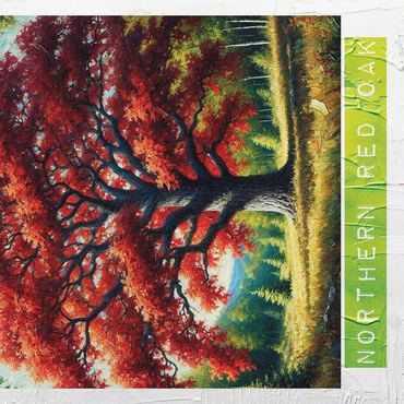 State Trees Series: New Jersey, Northern Red Oak 1000 Jigsaw Puzzle 3D Modell