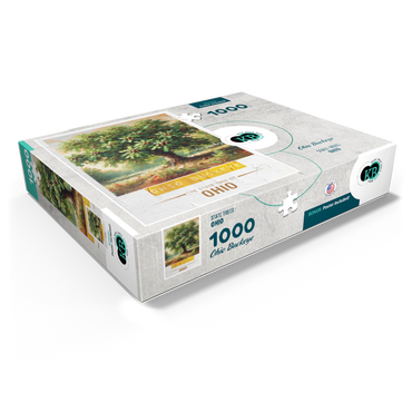 State Trees Series: Ohio, Ohio Buckeye 1000 Jigsaw Puzzle box view1