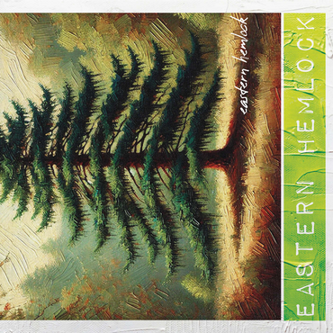 State Trees Series: Pennsylvania, Eastern Hemlock 1000 Jigsaw Puzzle 3D Modell