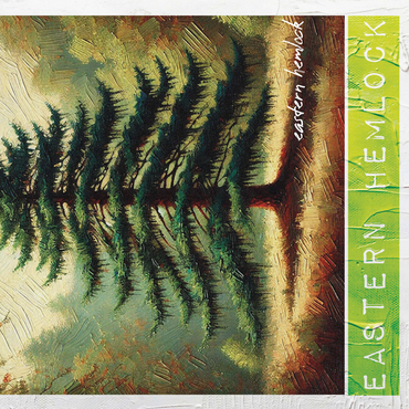 State Trees Series: Pennsylvania, Eastern Hemlock 500 Jigsaw Puzzle 3D Modell