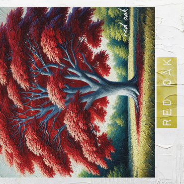 State Trees Series: Rhode Island, Red Maple 500 Jigsaw Puzzle 3D Modell