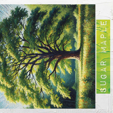 State Trees Series: Vermont, Sugar Maple 1000 Jigsaw Puzzle 3D Modell