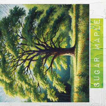 State Trees Series: Vermont, Sugar Maple 500 Jigsaw Puzzle 3D Modell