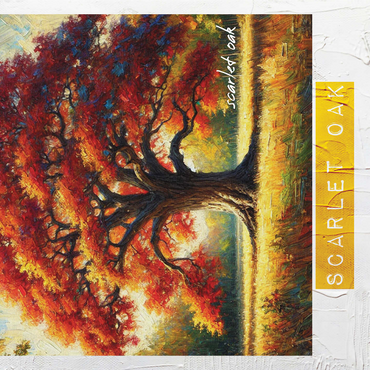 State Trees Series: Washington D.C., Scarlet Oak in the Fall 1000 Jigsaw Puzzle 3D Modell