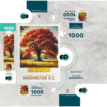 State Trees Series: Washington D.C., Scarlet Oak in the Fall 1000 Jigsaw Puzzle box 3D Modell
